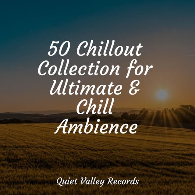 50 Chillout Collection for Ultimate & Chill Ambience