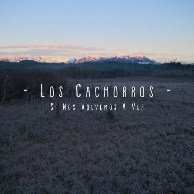 Si Nos Volvemos a Ver