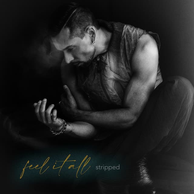 feel it all (stripped)
