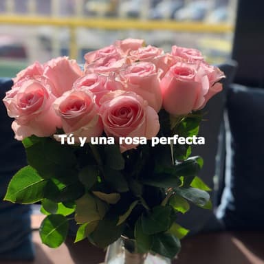 Tú y una rosa perfecta