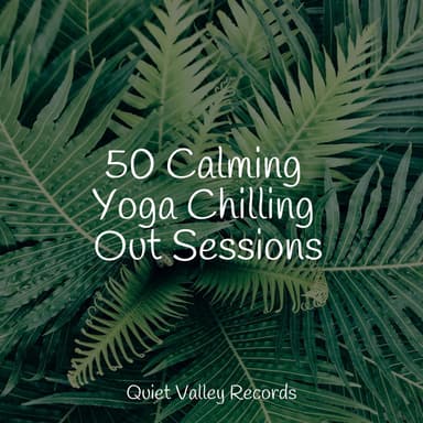 50 Calming Yoga Chilling Out Sessions