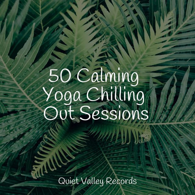 50 Calming Yoga Chilling Out Sessions