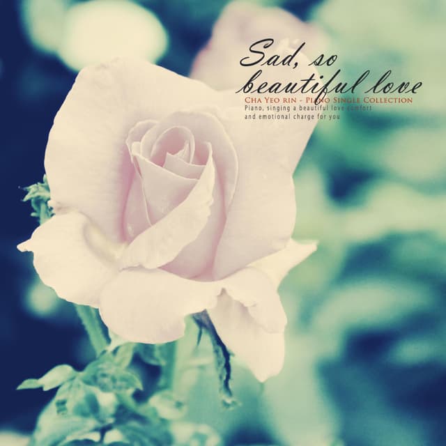 A Sad And Beautiful Love