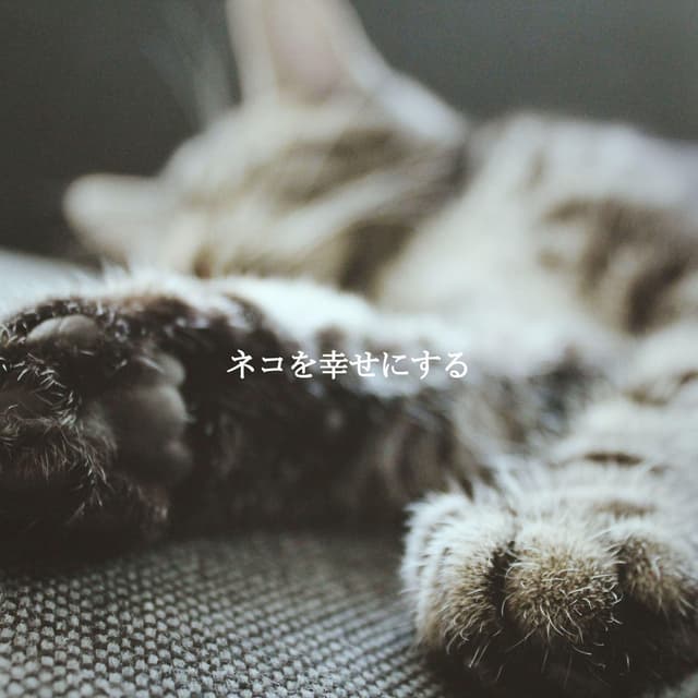 ネコを幸せにする