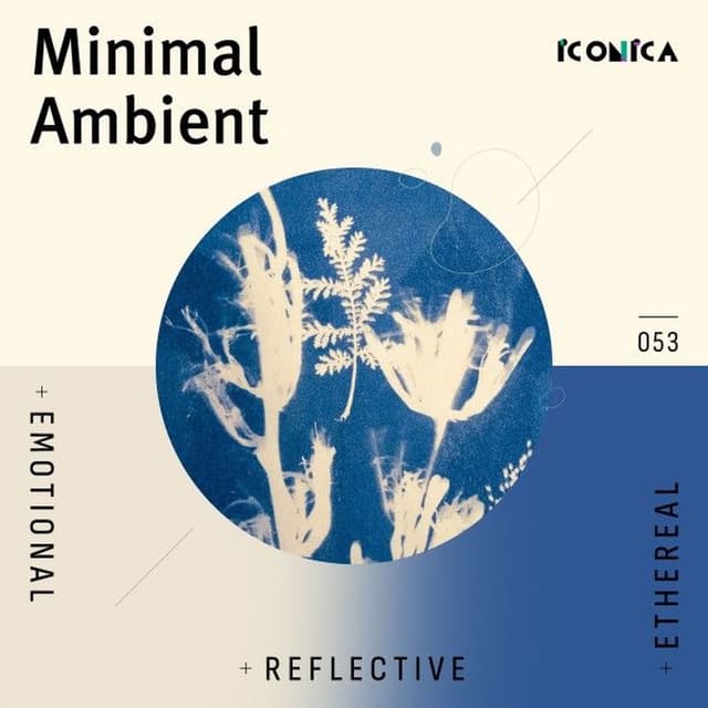 Minimal Ambient