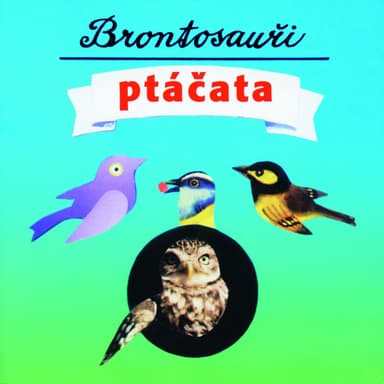 Ptacata