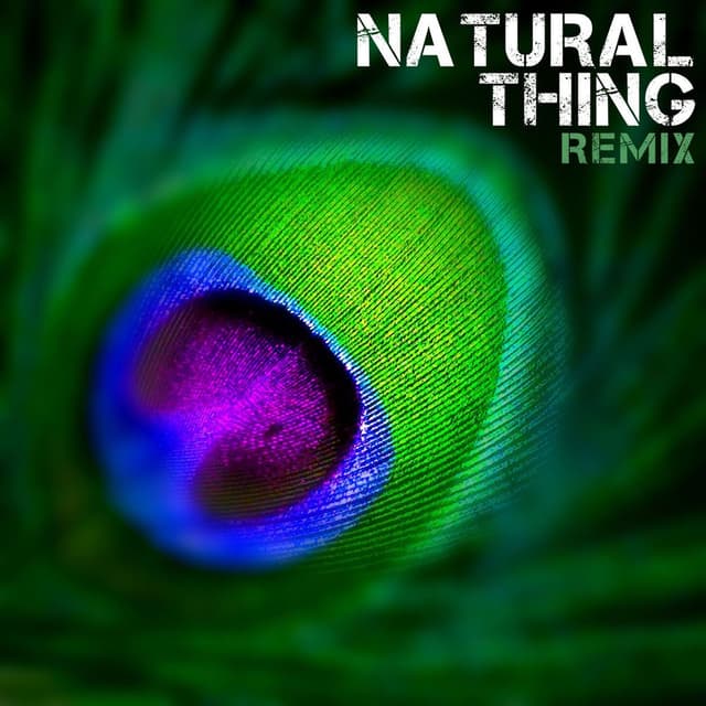Natural Thing (Remix)