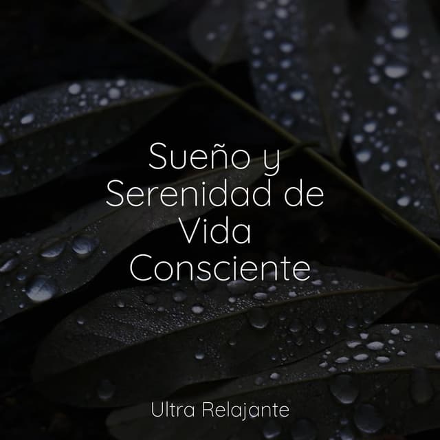 Sueño y Serenidad de Vida Consciente