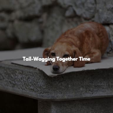 Tail-Wagging Together Time