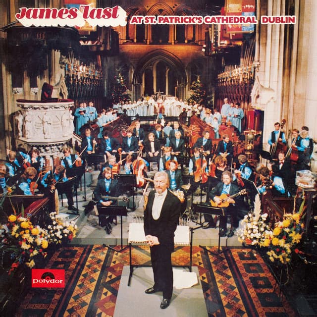 At St. Patrick's Cathedral Dublin (Live)