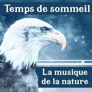 Temps de Nuit Claire