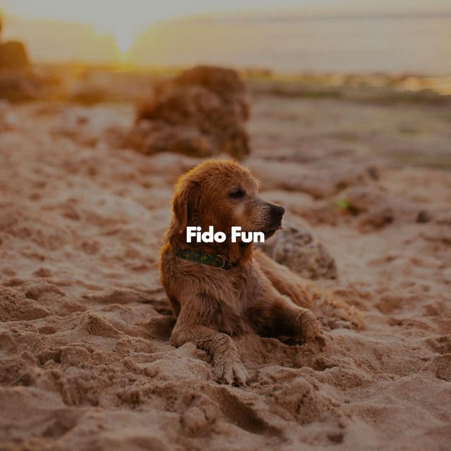Fido Fun