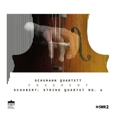 String Quartet No. 6, D 74: III. Menuetto. Allegretto