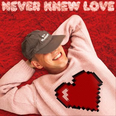 Never Knew Love (feat. Enisa) (Extended)
