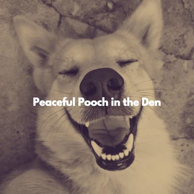 Peaceful Pooch in the Den