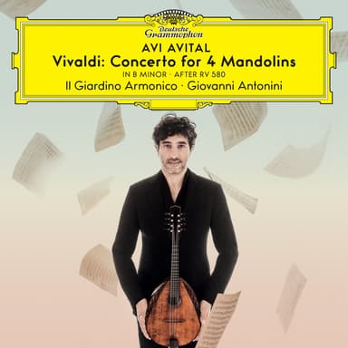 Concerto in B Minor, RV 580 (Adapt. for 4 Mandolins, Strings and Continuo) : Vivaldi: Concerto in B Minor, RV 580 (Adapt. for 4 Mandolins, Strings and Continuo): II. Largo - Larghetto - Adagio - Largo