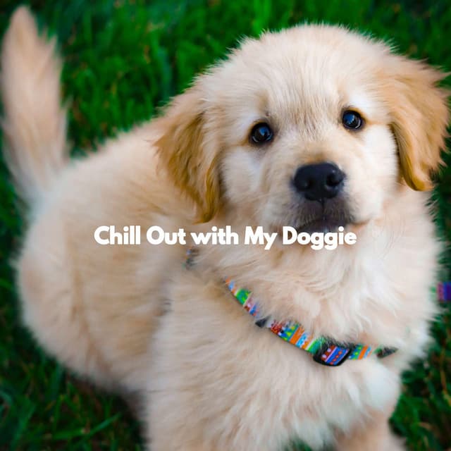 Chill Out with My Doggie