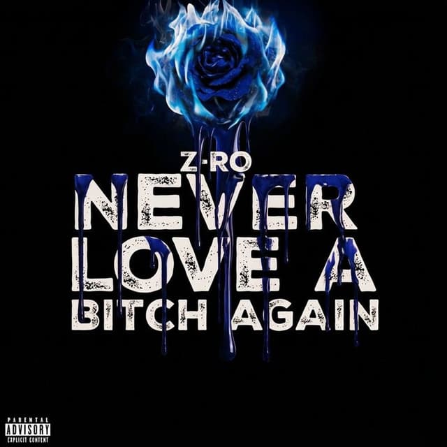 Never Love A Bitch Again