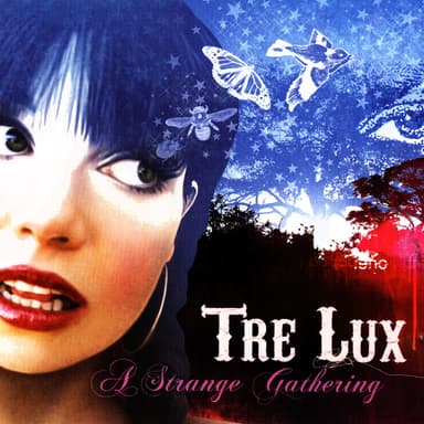 A Strange Gathering
