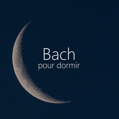 Sonata for Violin and Harpsichord in G major, BWV 1019 : J.S. Bach: Sonata for Violin and Harpsichord in G major, BWV 1019: 2. Largo