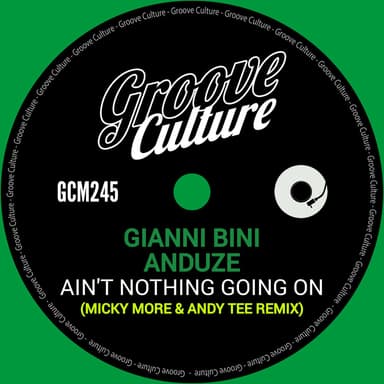 Ain't Nothing Going On (Micky More & Andy Tee Edit)