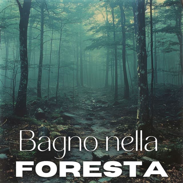 Bagno nella foresta: Musica di meditazione giapponese e immersione nella natura, Ambiente Shinrin-Yoku