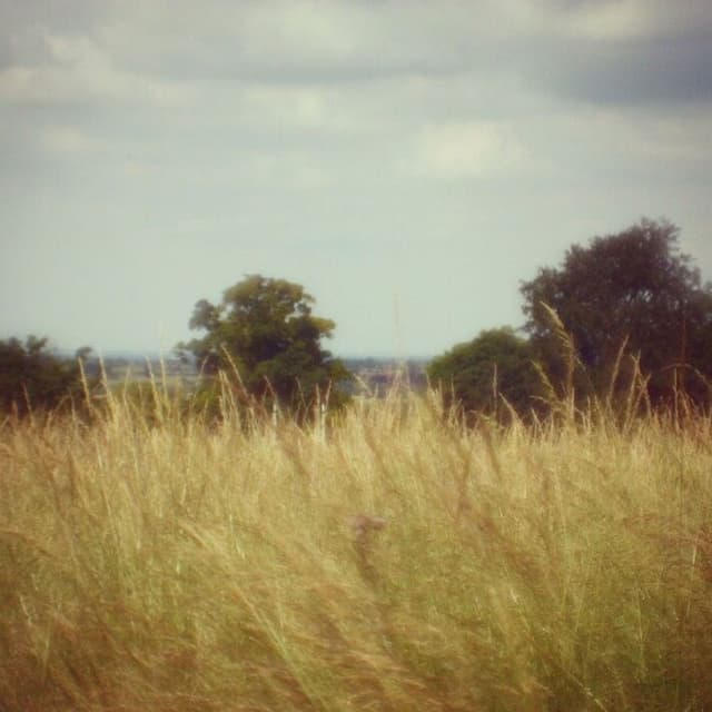 A Place Where Nothing Needed Saying