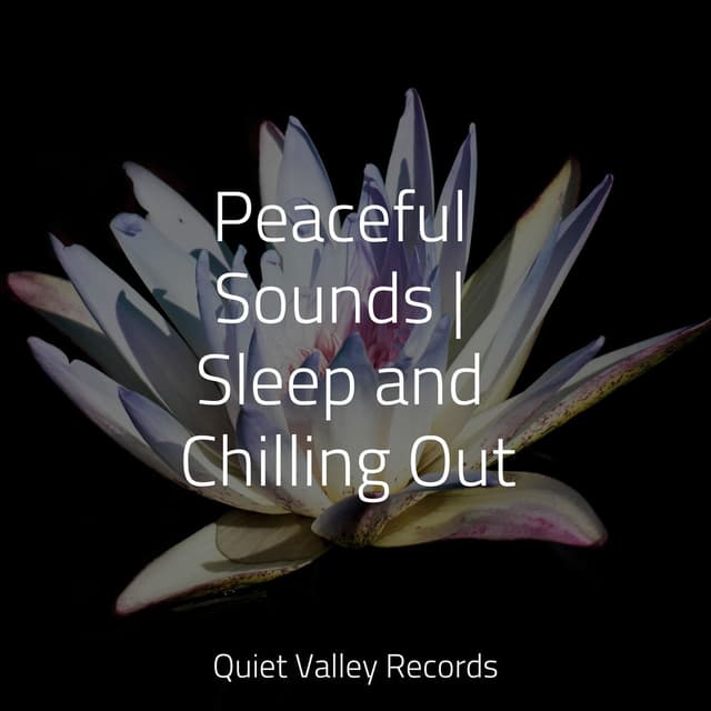 Peaceful Sounds | Sleep and Chilling Out