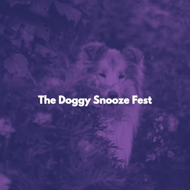 The Doggy Snooze Fest