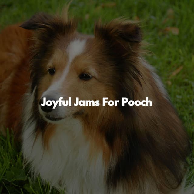 Joyful Jams For Pooch