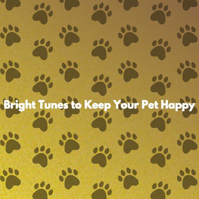 Bright Tunes to Keep Your Pet Happy