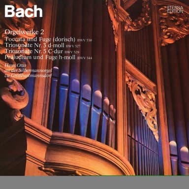 Bach: Orgelwerke auf Silbermannorgeln 2