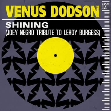 Shining (Joey Negro Tribute to Leroy Burgess Mix)