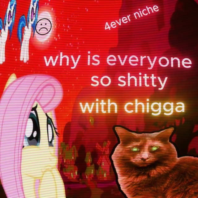 why is everyone so shitty