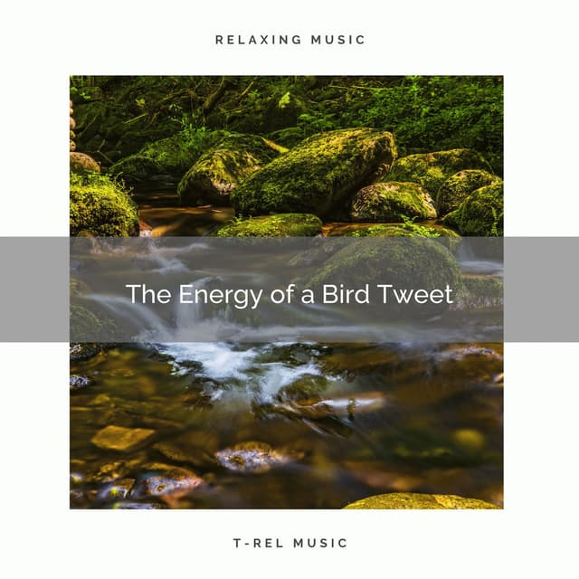 1 The Energy of a Bird Tweet