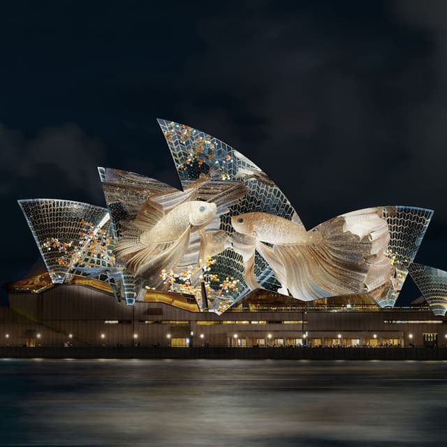 Introduction Reworked for Sydney Opera House