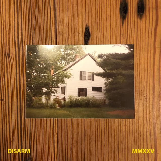 Disarm (MMXXV)