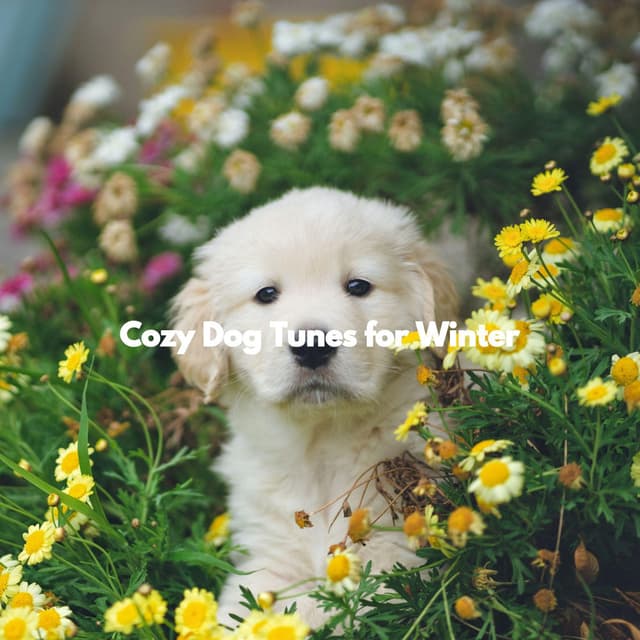 Cozy Dog Tunes for Winter