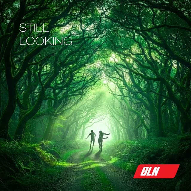 Still Looking