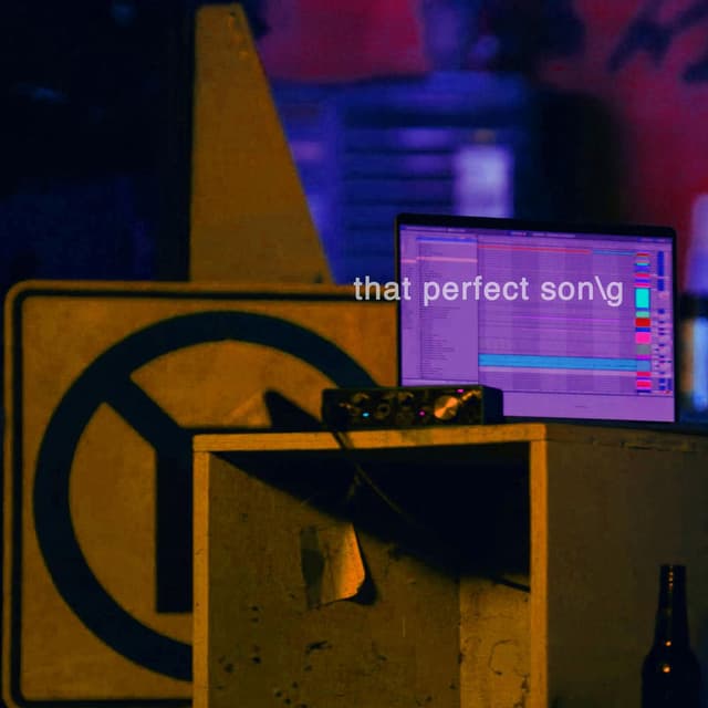 that perfect song
