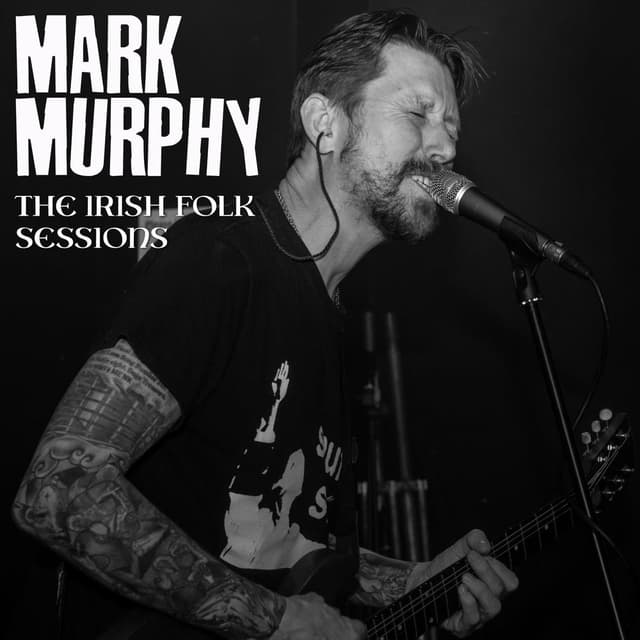 The Irish Folk Sessions