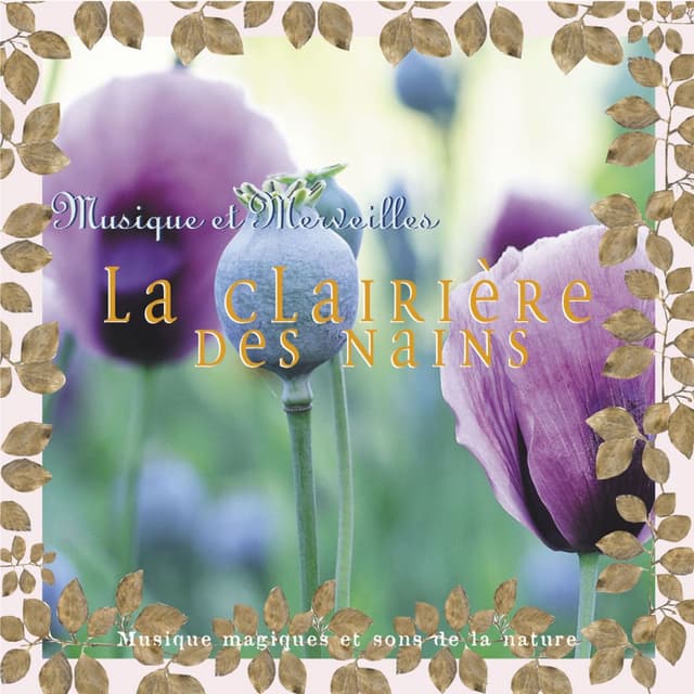Musique et merveilles: la clairière des nains
