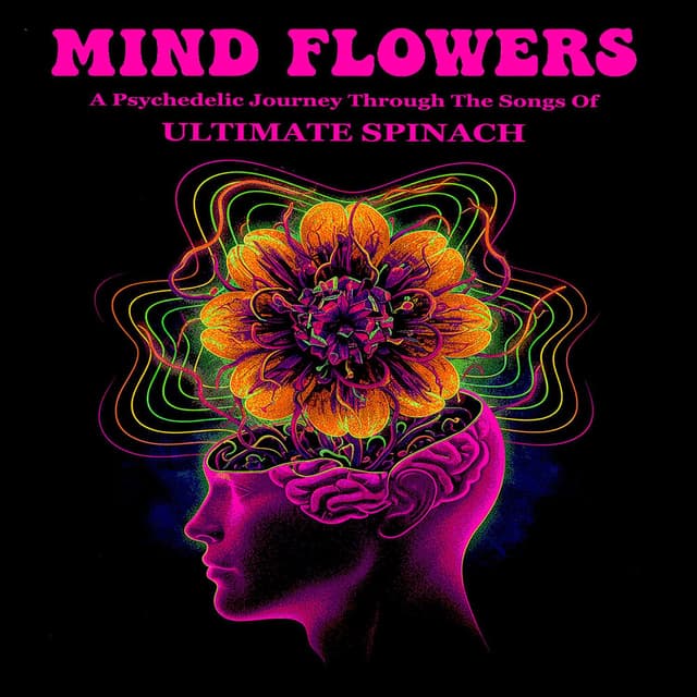 MIND FLOWERS (A Psychedelic Journey Through The Songs Of Ultimate Spinach)