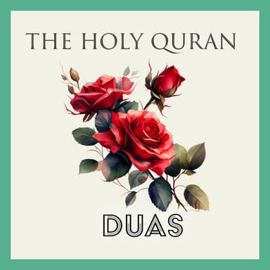 DUAS (VOL 5)