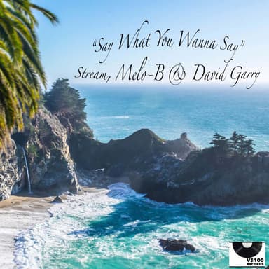 Say What You Wanna Say (feat. David Garry)