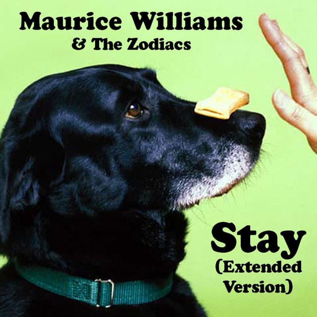 Stay (Extended Version)