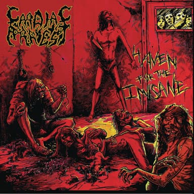 Haven for the Insane