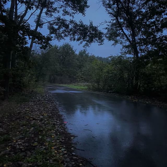 Ambient Downfall