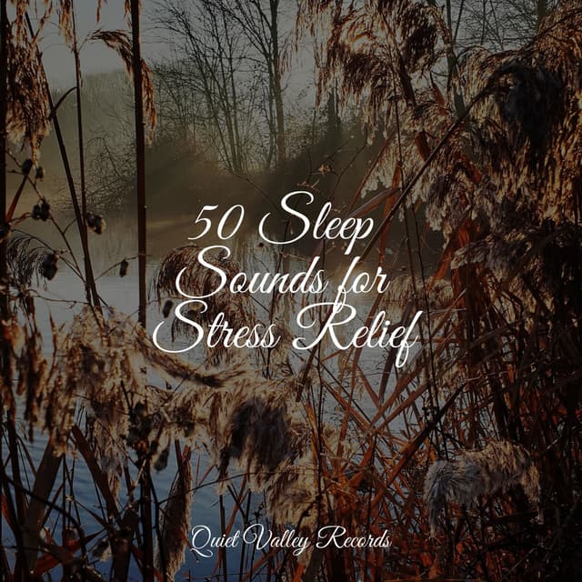 50 Sleep Sounds for Stress Relief