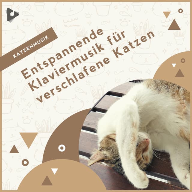 Entspannende Klaviermusik für verschlafene Katzen